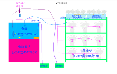 ?？邶埲A定海水族店（海口龍華定海水族店電話）