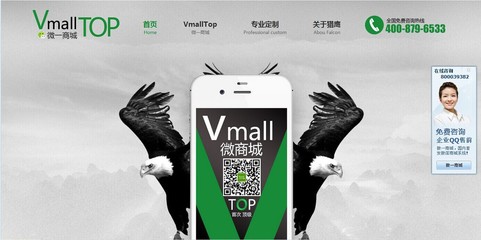 猎鹰在线网络技术