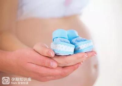 孕五个月胎儿多大