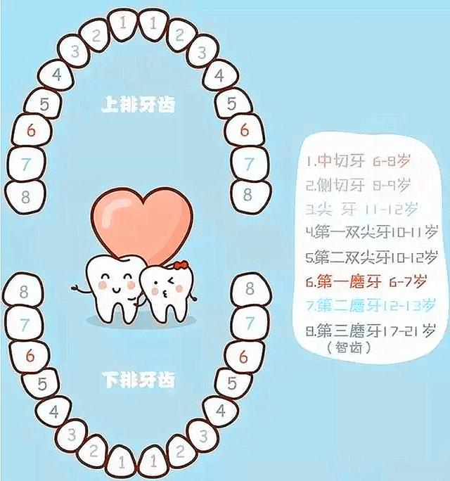 宝宝换牙图片