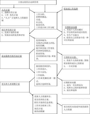 职业生涯线路怎么写