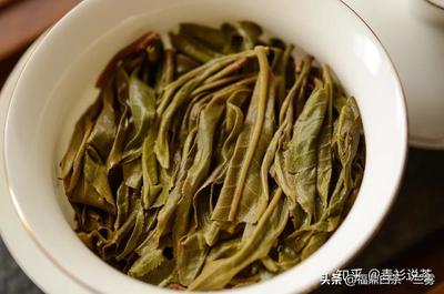 普洱茶春茶与秋茶的区别