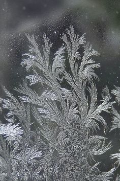 玻璃上的冰花