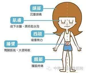 身体有湿气是怎么回事