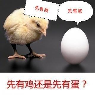 先有鸡是什么样的