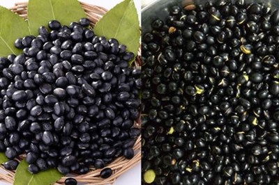 怀孕初期能吃黑豆吗