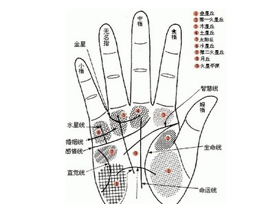 怎样看一个人的运势