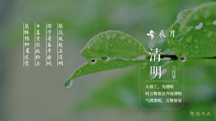 斗指哪个生肖