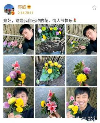 花是怎么秀的