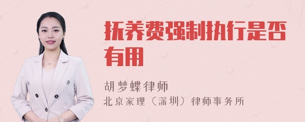 抚养费强制执行有用吗