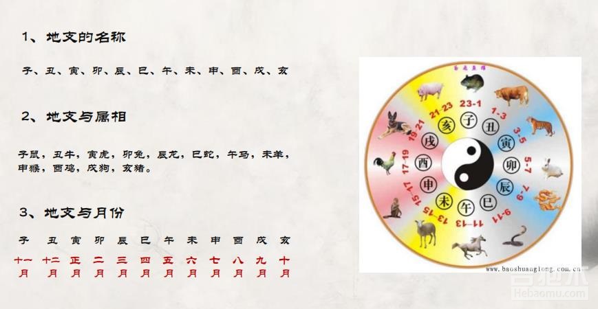 木和土是什么生肖