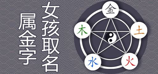 能五行属什么