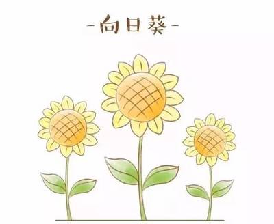 建党节简笔画带颜色