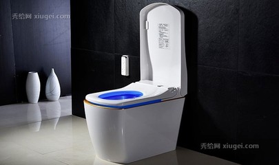 地排式马桶