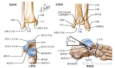 腱鞘积液是怎么回事
