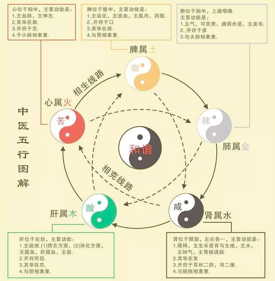 怎么知道自己属于五行中的什么