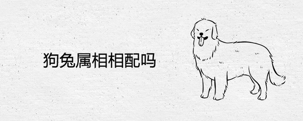 狗和兔相配婚姻如何