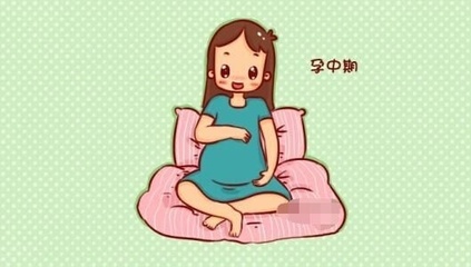 怀孕几个月才算稳定