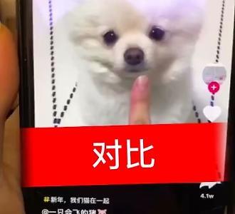 欧货女装店名