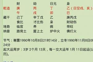 93年出生的人是什么命