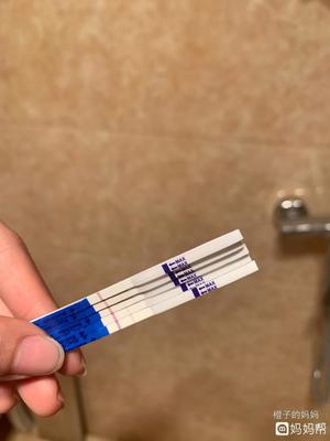 排卵期有味道正常的吗