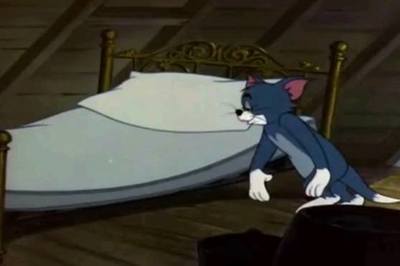 做梦梦见猫和老鼠