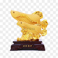 金龙鱼寓意什么意思