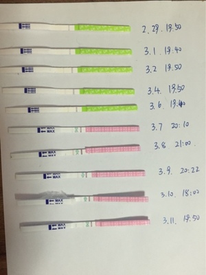 白带和排卵期的关系