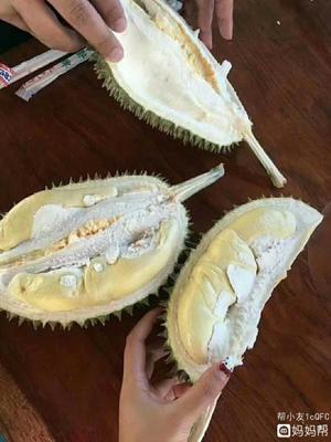 怀孕榴莲