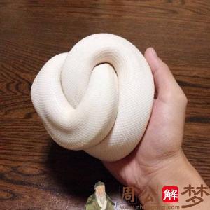 做梦梦到白蛇
