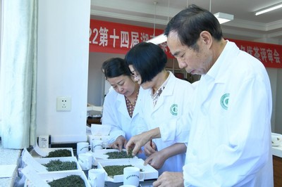 茶叶评审