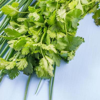 香菜坐月子能吃吗