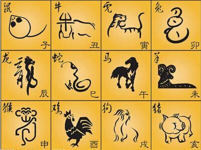 追代表什么生肖