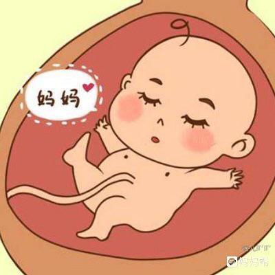 孕晚期胎儿姿势