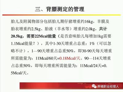 胎儿附属物包括
