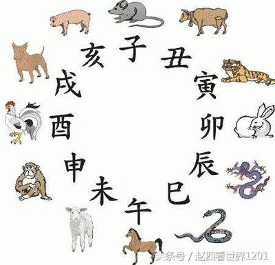 属相怎么划分
