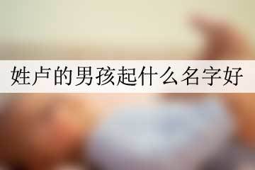 姓卢的男孩名字