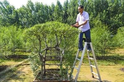 榆树房价多少钱一平米