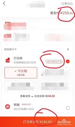 京东白条贷是什么意思