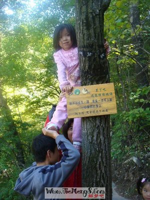 梦见自己拉大便在裤子里