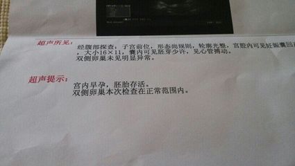 怀孕胚芽是什么意思