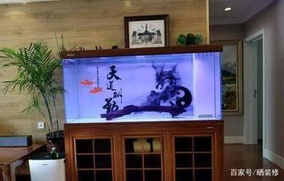 魚缸的制作流程（生態(tài)魚缸的制作流程）