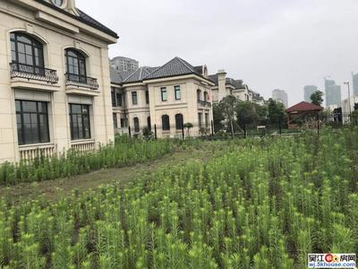 绿地太湖城别墅