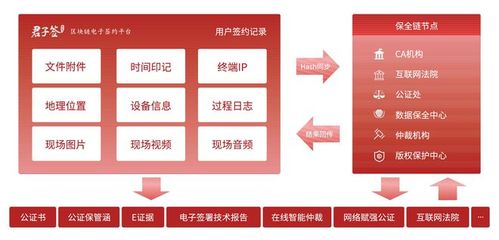 中国的仲裁机构