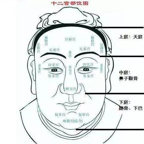 鼻子的运势