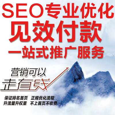seo优化服务百度排名网站首页论坛博客代发包收录关键词推广-淘宝网