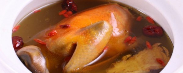 孕妇鸽子汤禁忌