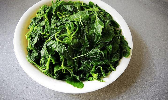 治咳嗽的菜