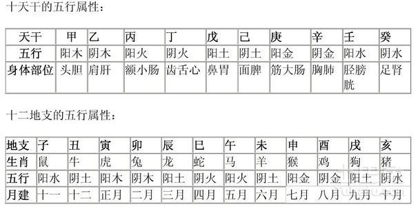 天干地支五行对照表