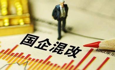 国有企业的股东